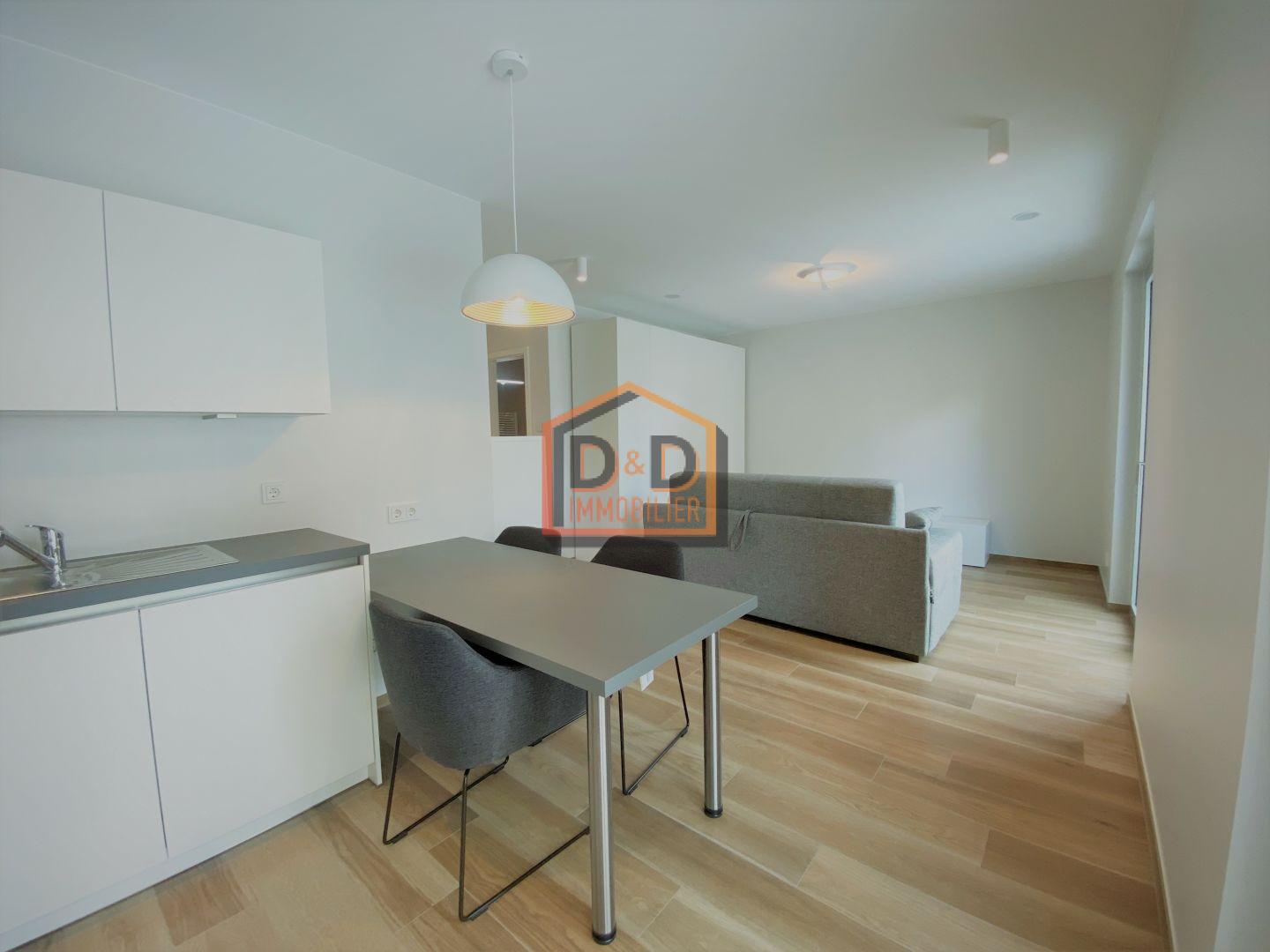 Appartement à Luxembourg-Gasperich, 35 m², 1 450 €/mois